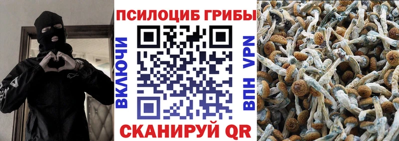Галлюциногенные грибы прущие грибы  Юрюзань 